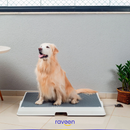 Baño Inteligente para Mascotas