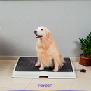 Baño Inteligente para Mascotas