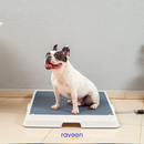 Baño Inteligente para Mascotas