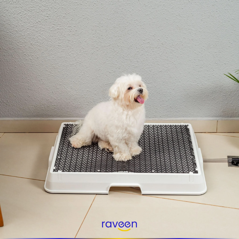 Baño Inteligente para Mascotas